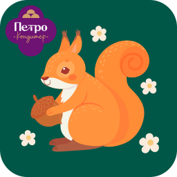 squirrel